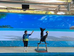 -厦门海底世界