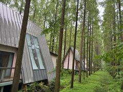 -黄海国家森林公园