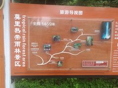 -莫里热带雨林景区