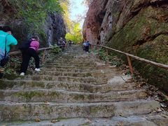 -天女山森林公园