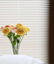 -和美东方产后恢复管理中心(长虹国际城店)