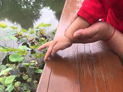 -东郊湿地公园