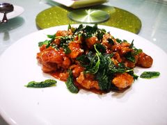 薄荷鸡-西兰轩清真菜馆(北顺城街店)