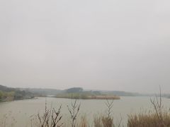 -杏花村文化旅游区