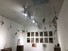 -成都失恋馆