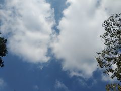 -两河城市森林公园