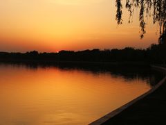 -象湖生态湿地公园