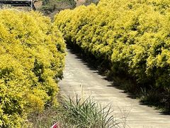 -福清灵石山国家森林公园
