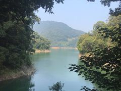 -广州市流溪河国家森林公园