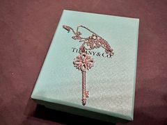 -Tiffany & Co.蒂芙尼
(南京德基广场店)