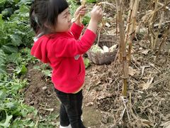 -草根堂农场