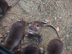 -常州淹城野生动物世界