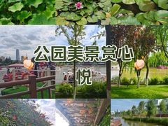 -雁滩公园