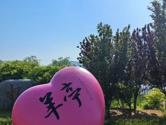 -羊亭河湿地公园