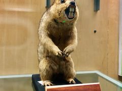 -陕西自然博物馆