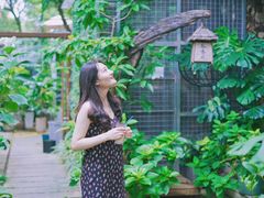 -谷咖啡·鲜花绿植花园餐厅