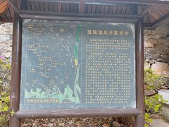 -庐山碧龙潭风景区