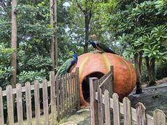 -庐山西海主景区