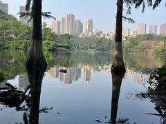-重庆彩云湖湿地公园