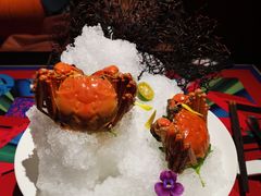 -上海滩餐厅(BFC外滩金融中心店)