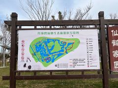-盐城丹顶鹤湿地生态旅游区