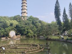 -江心屿景区