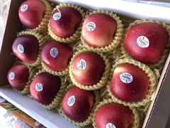 -五里店果蔬批发市场