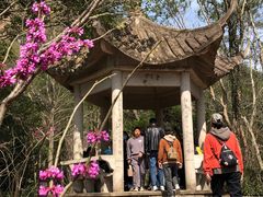 -天台山赤城山景区