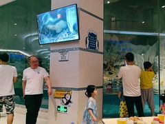-帝企鹅自助餐厅•儿童岛•真企鹅(长隆企鹅酒店)