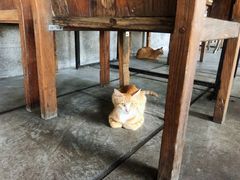 -喜洲吧·江畔老船厂·庭院餐厅(喜临院店)