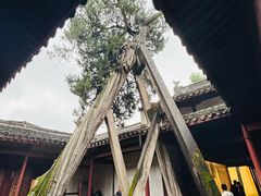 -太平天国侍王府