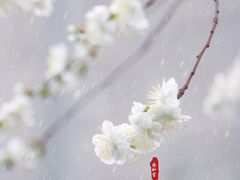 -雍和宫(地铁站)