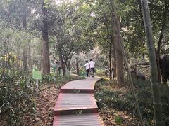 -杭州少年儿童公园