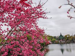 -无锡蠡湖国家湿地公园-蠡园