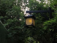 -成都市活水公园
