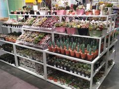 -KKV(深圳宏发大仟里店)