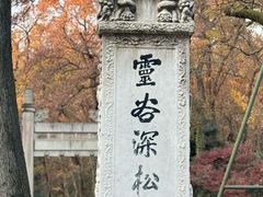 -灵谷景区