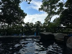 -滨千鸟之汤 海舟