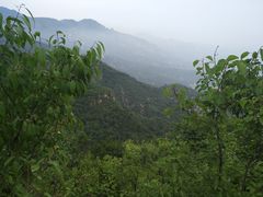 -阳台山自然风景区