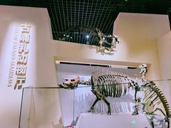 -国家自然博物馆