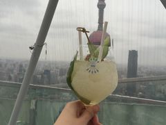 Mojito-FLAIR顶层餐厅酒吧(浦东丽思卡尔顿酒店)