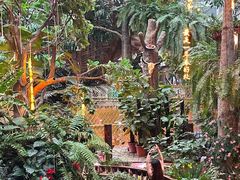 -正佳雨林生态植物园