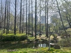 -月湖风景区