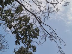 -敬亭山风景名胜区