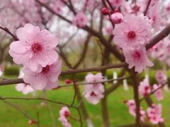 -白塘生态植物园
