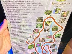 -热带雨林自然公园