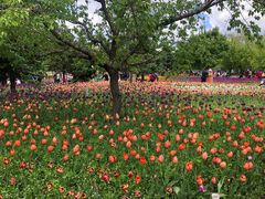 -长春公园(普阳街道)