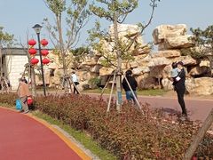 -九龙湖公园