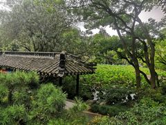 -上海醉白池公园