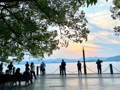 -杭州君悦酒店·青莳